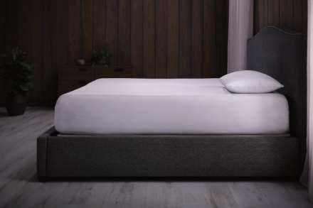 Empty Bed in Room