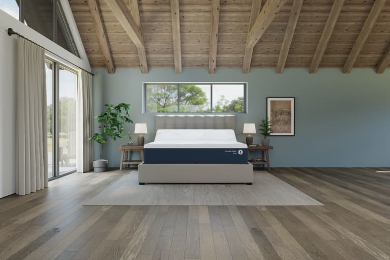 Sleep Number ComfortNext Lux Mattress