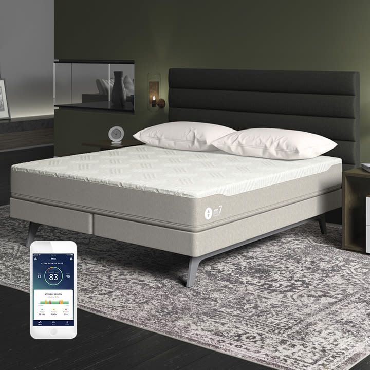 Expanded Queen Sleep Number Bed Hanaposy