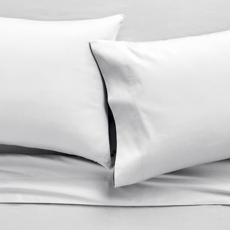 Sleep number plush blanket best sale