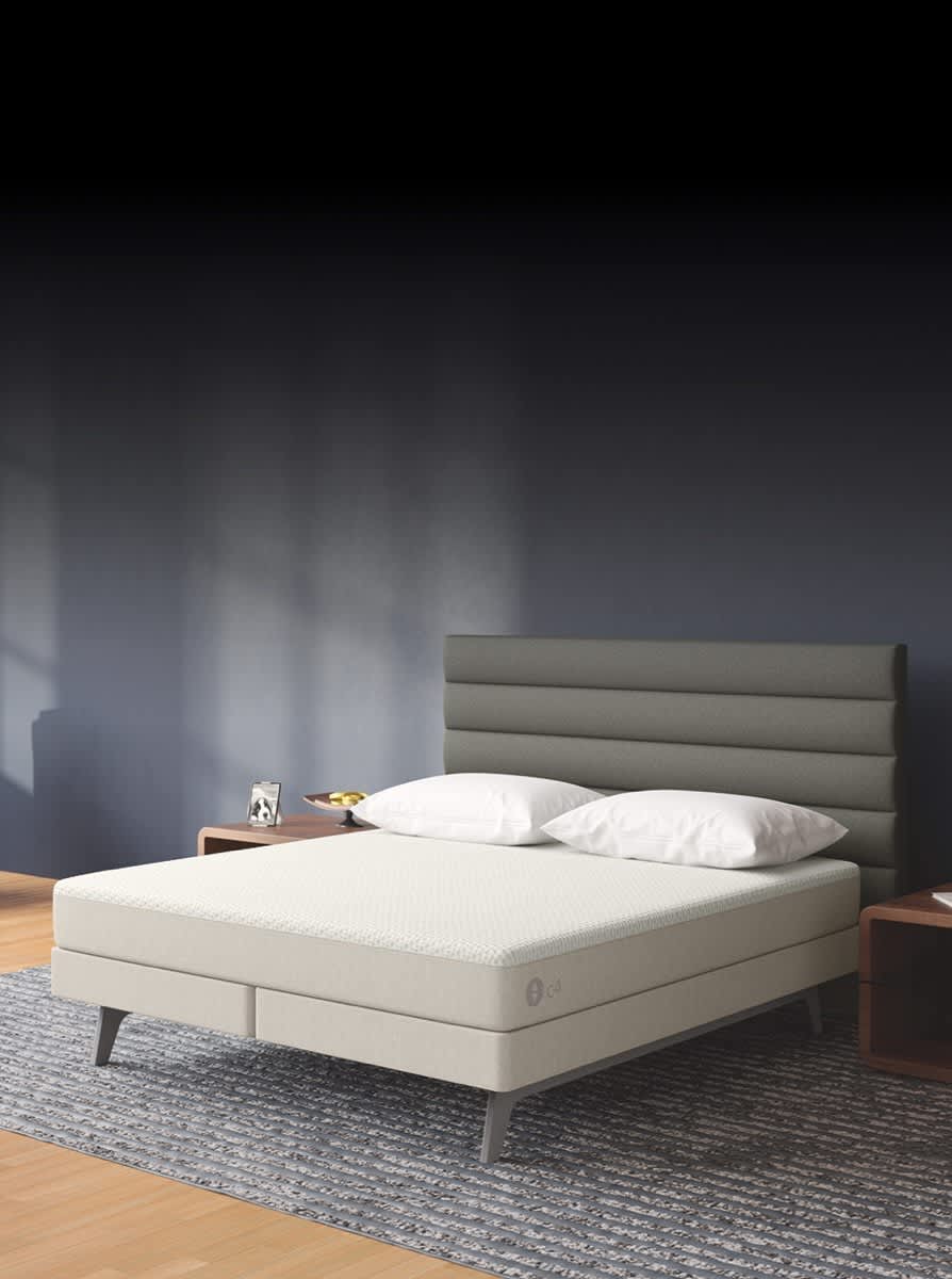 Sleep Number King Bed Sale atelieryuwa.ciao.jp