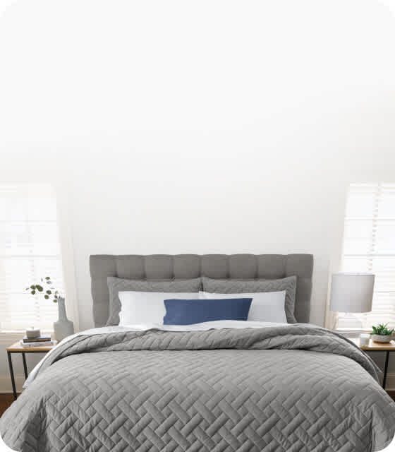 Shop Blankets and Coverlets Sleep Number