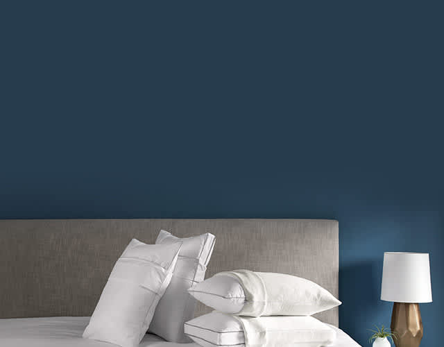 Pillow protectors, protect the life of your pillow, extend the life of your pillow, pillow life extender, pillow germ protector, pillow traveling carrier, pillow suitcase holder, pillow antimicrobial