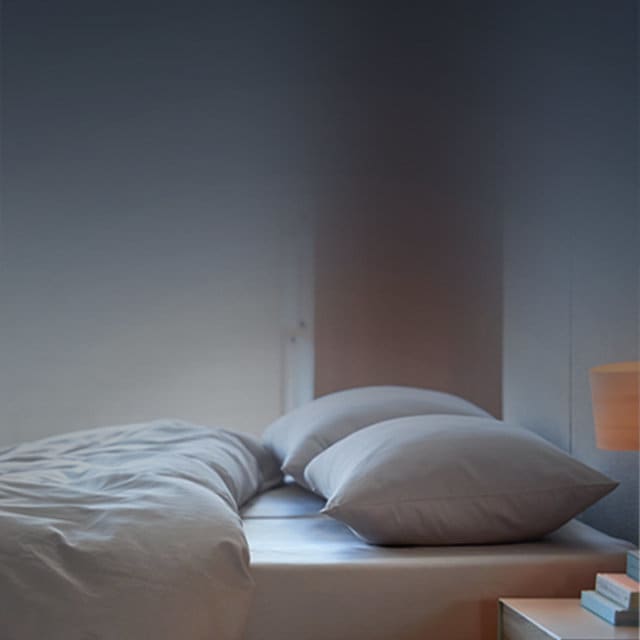 Empty bed with blanket and pillows